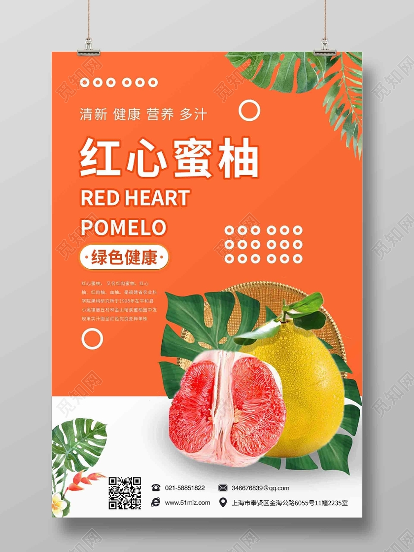 橙色时尚水果柚子海报