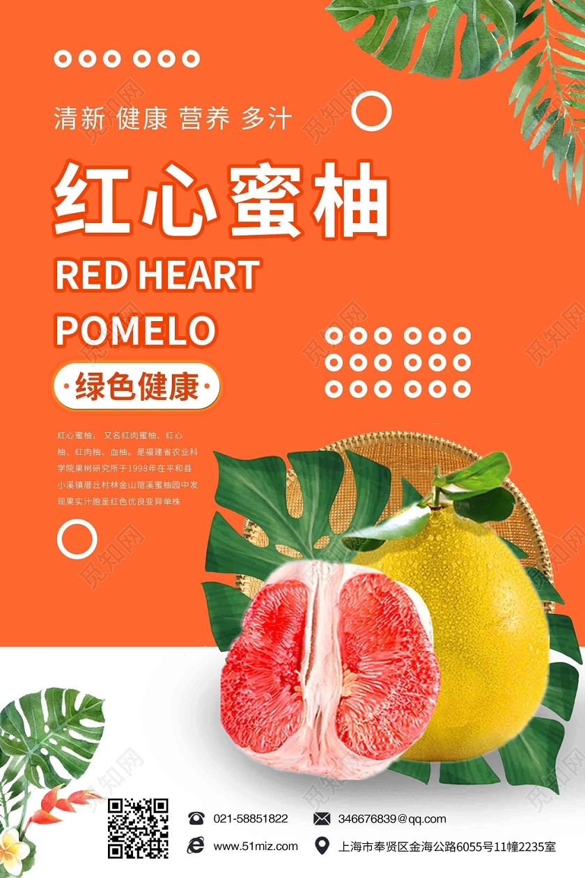 橙色时尚水果柚子海报