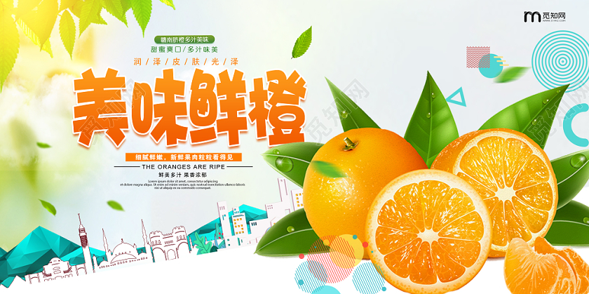 冬季新鲜橙子宣传栏