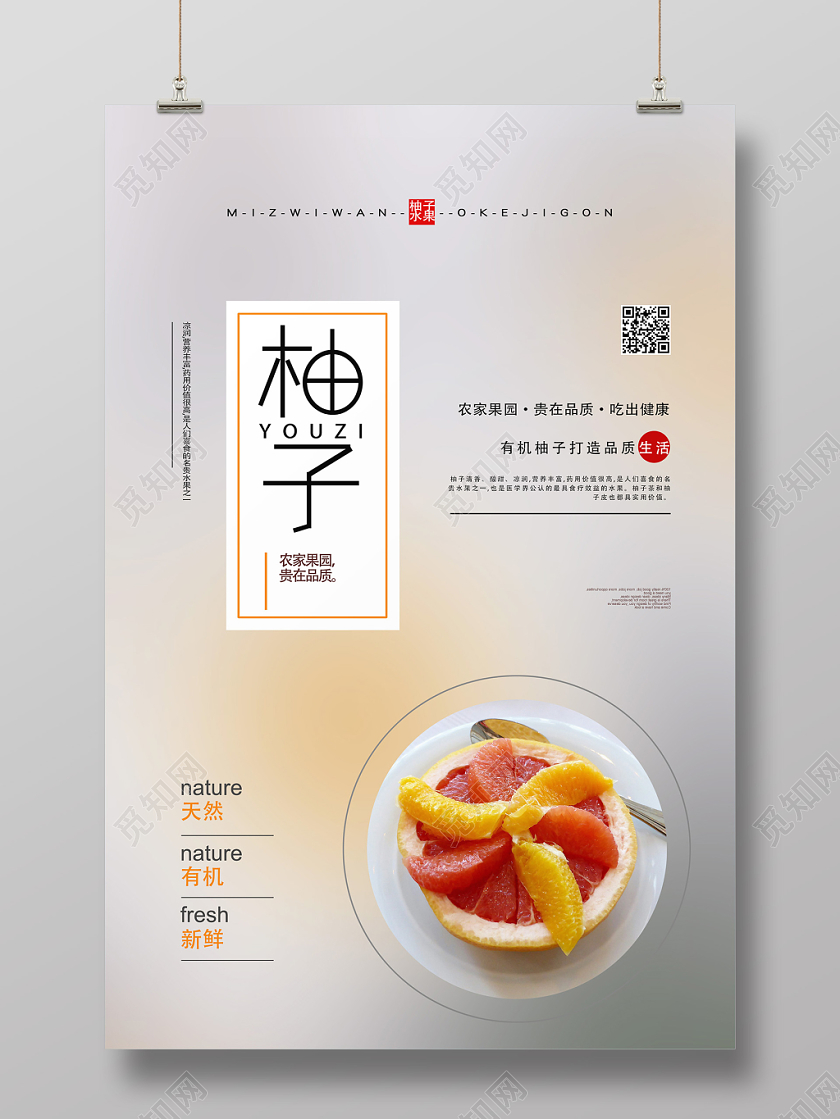 灰色文艺风柚子水果柚子海报