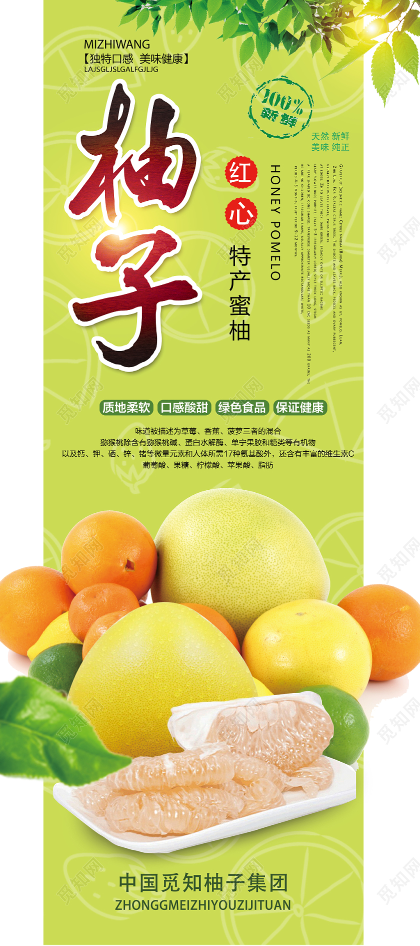 绿色小清新柚子水果柚子展架易拉宝