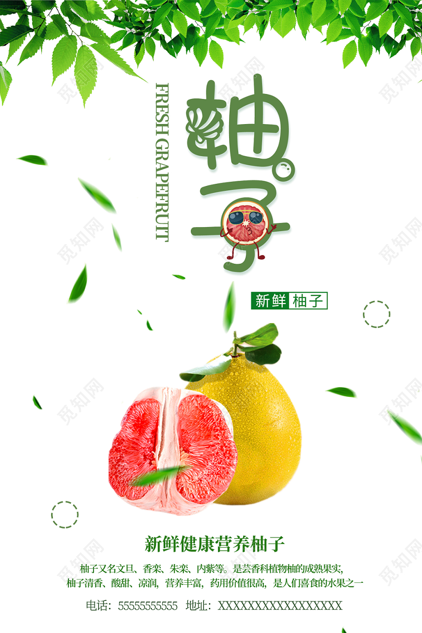 白色清新水果柚子红柚宣传海报