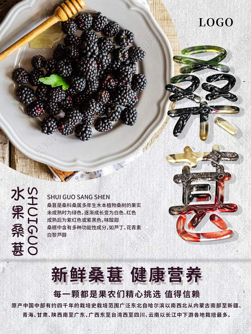 灰色简约时尚新鲜水果桑葚宣传海报