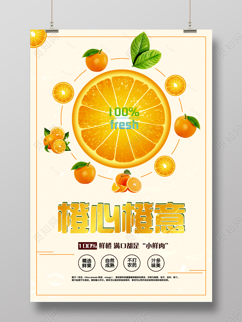 冬天水果新鲜橙子简约创意宣传海报