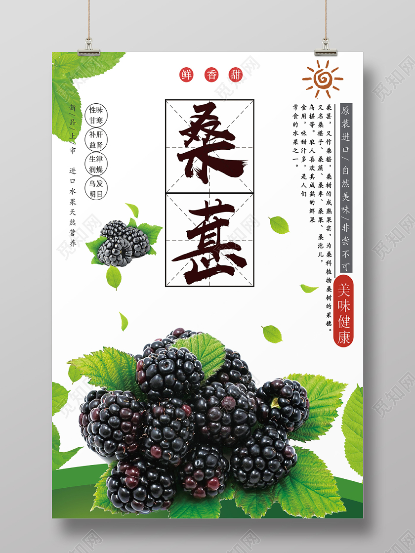 白色清新桑葚水果桑葚海报