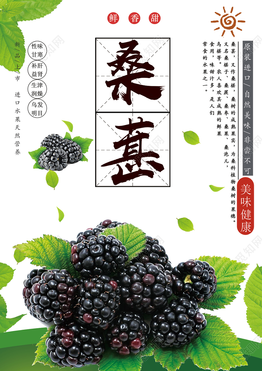 白色清新桑葚水果桑葚海报