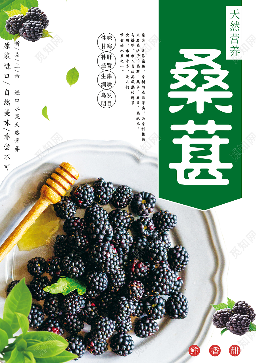 白色清新桑葚水果桑葚海报