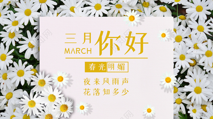 阳春三月清新春天花丛三月你好微信头图公众号首页图