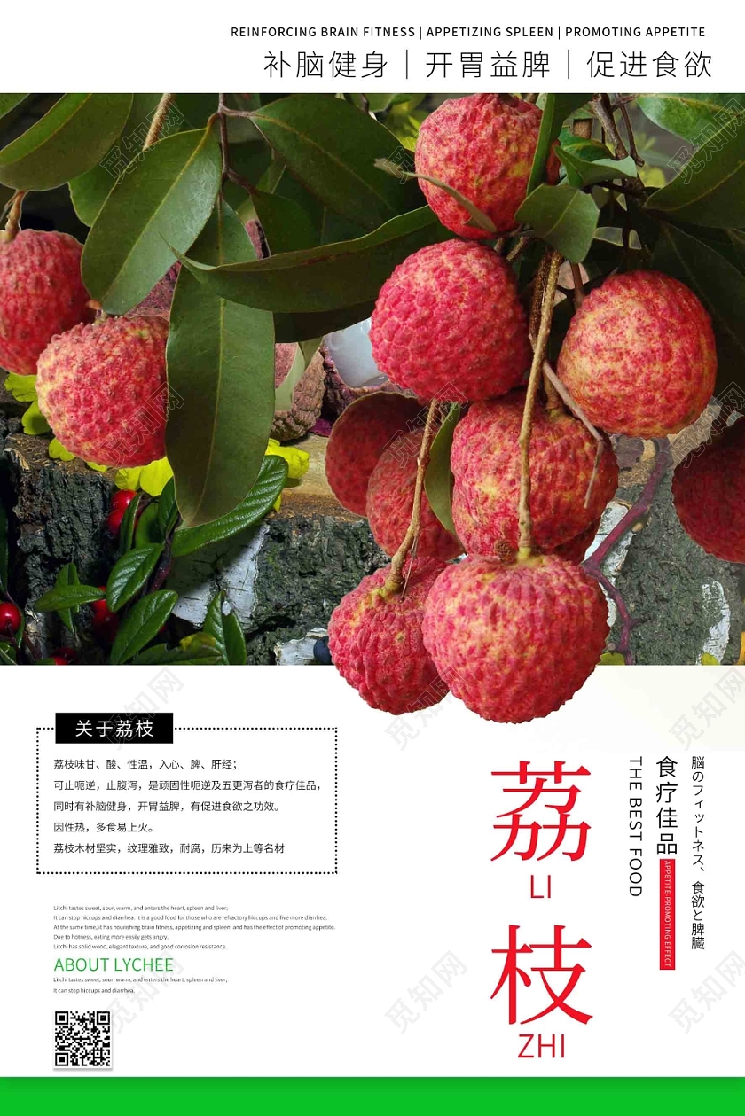 写实水果荔枝海报