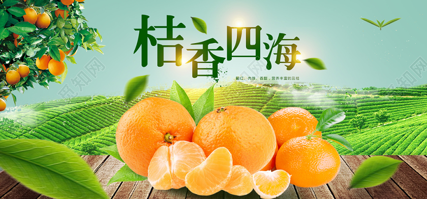 绿色大自然四季生鲜水果橘子电商banner