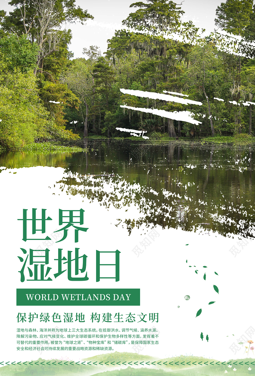 简约清新世界湿地日宣传海报