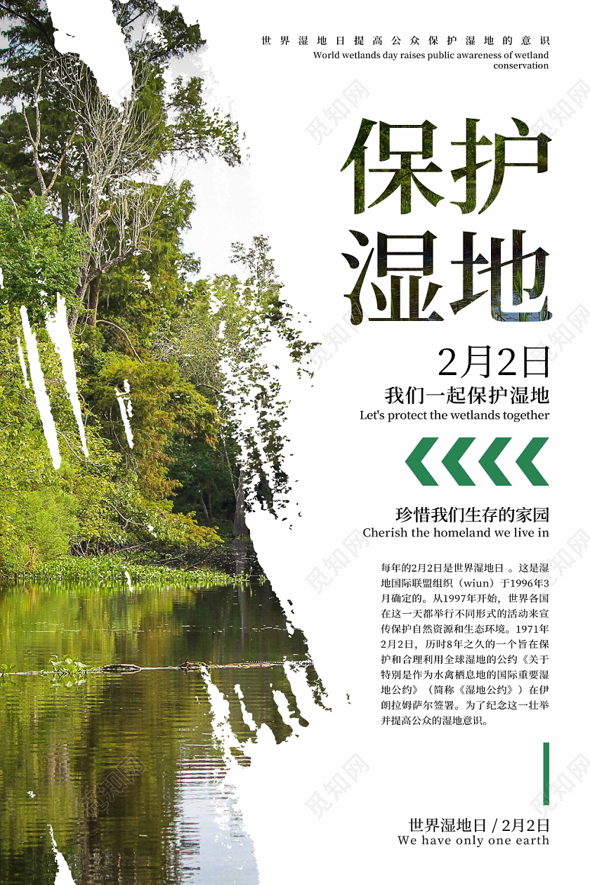 绿色环保世界湿地日宣传海报