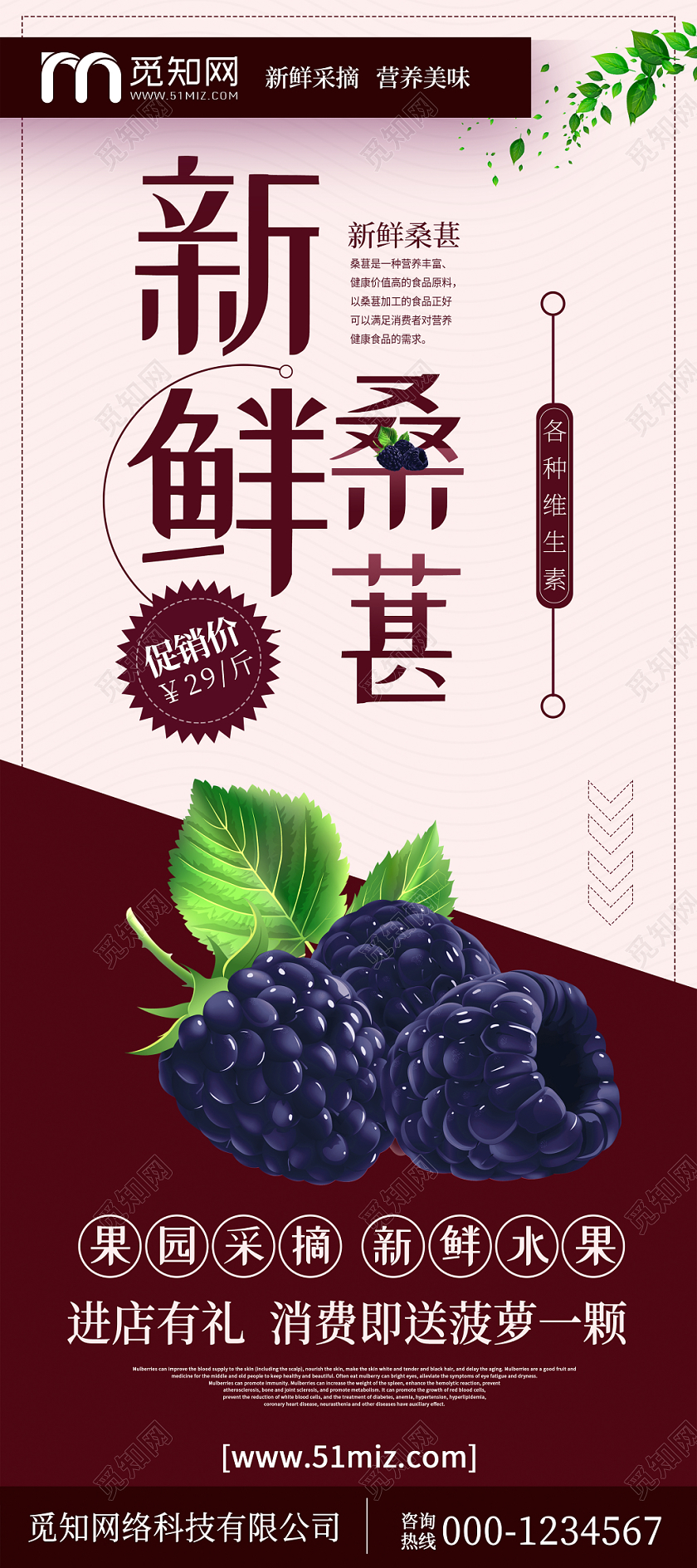 粉色紫色拼色新鲜桑葚展架水果桑葚易拉宝