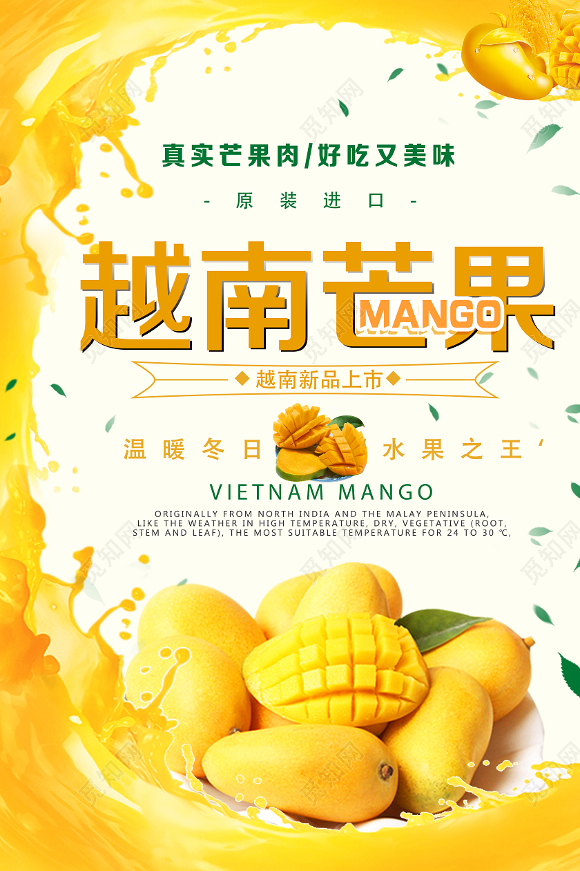 白色清新越南芒果水果芒果海报