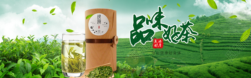 好茶怡人6折嗨抢品味好茶喝出健康好身体宣传电商banne茶叶