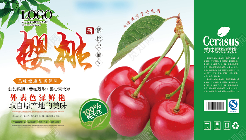 绿色时尚小清新樱桃采摘手提盒包装设计水果樱桃