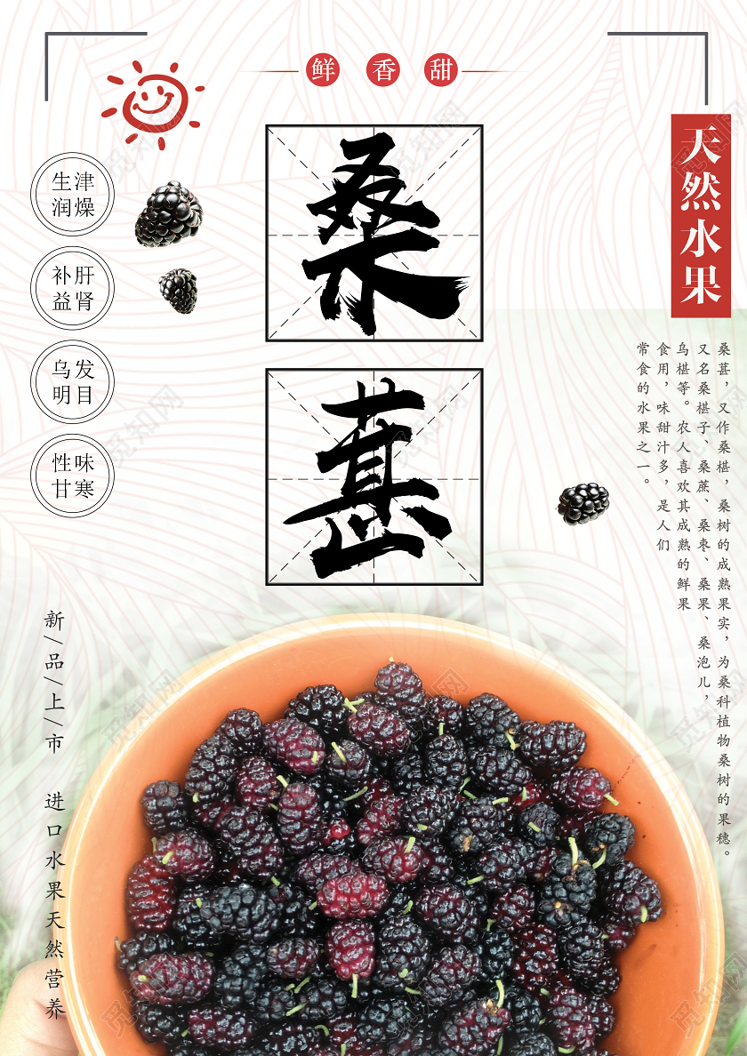 白色绿色清新桑葚水果新鲜天然自然桑葚海报 活动水果桑葚