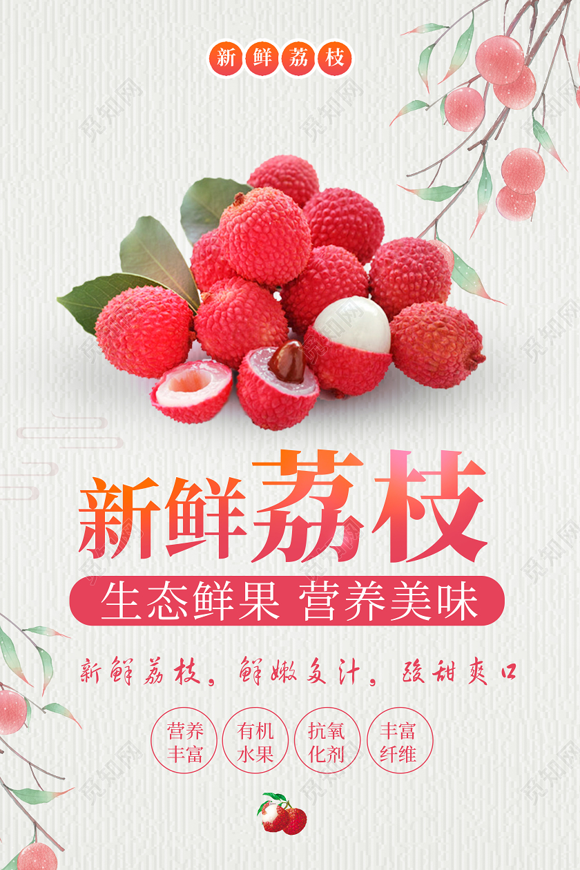 简约荔枝水果鲜果美味新鲜荔枝手绘海报水果荔枝