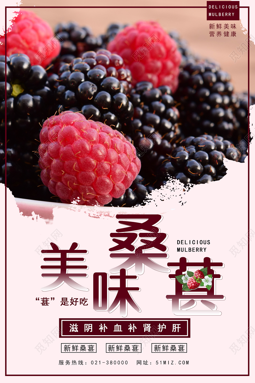 酒红色简约美味桑葚水果桑葚宣传海报