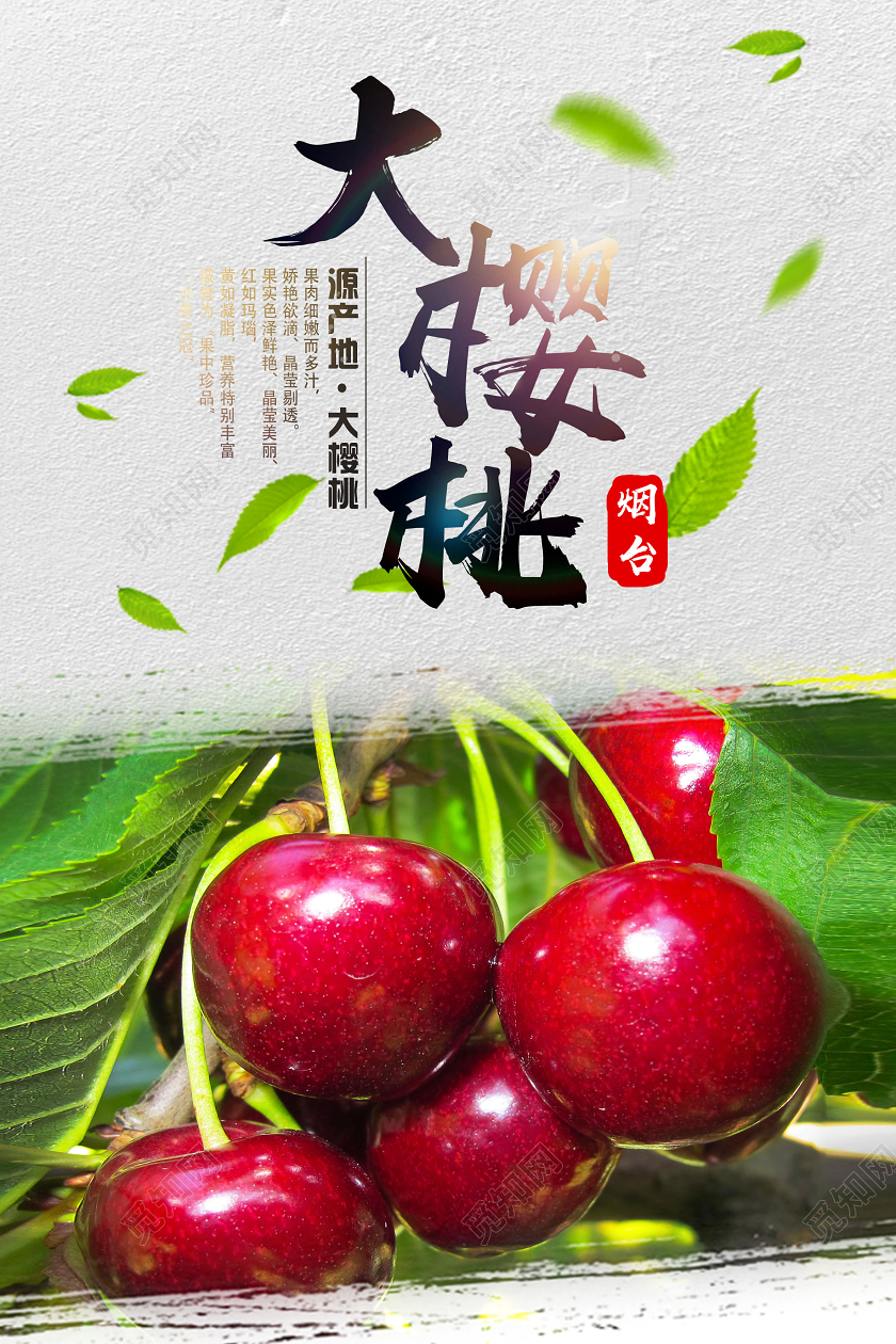 浅灰简约大樱桃水果樱桃海报