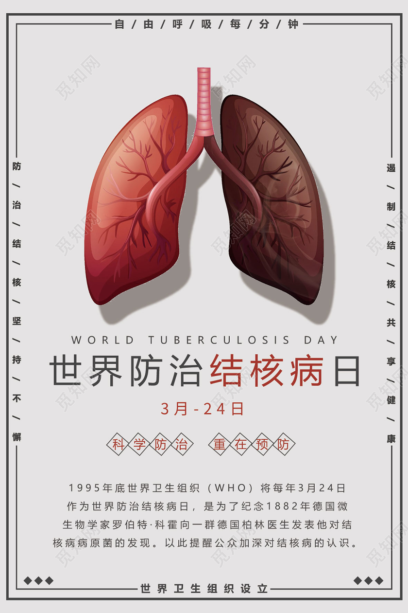 浅灰色简约防治结核病海报设计