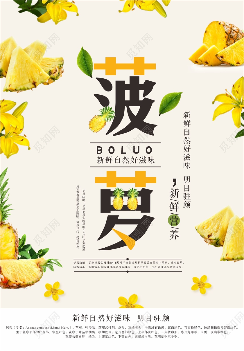 黄色清新新鲜水果菠萝海报