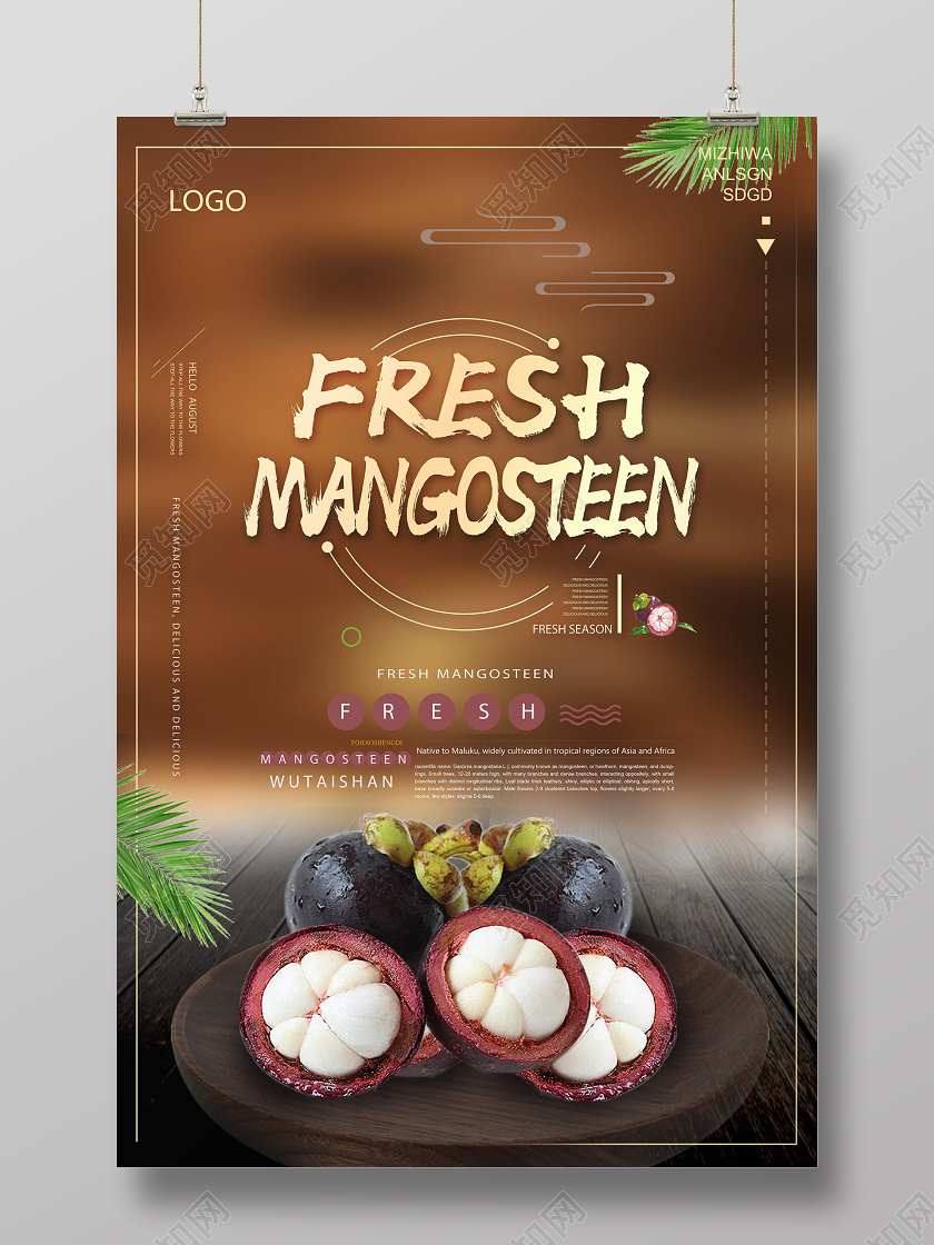 棕色简约mangosteen水果山竹展板