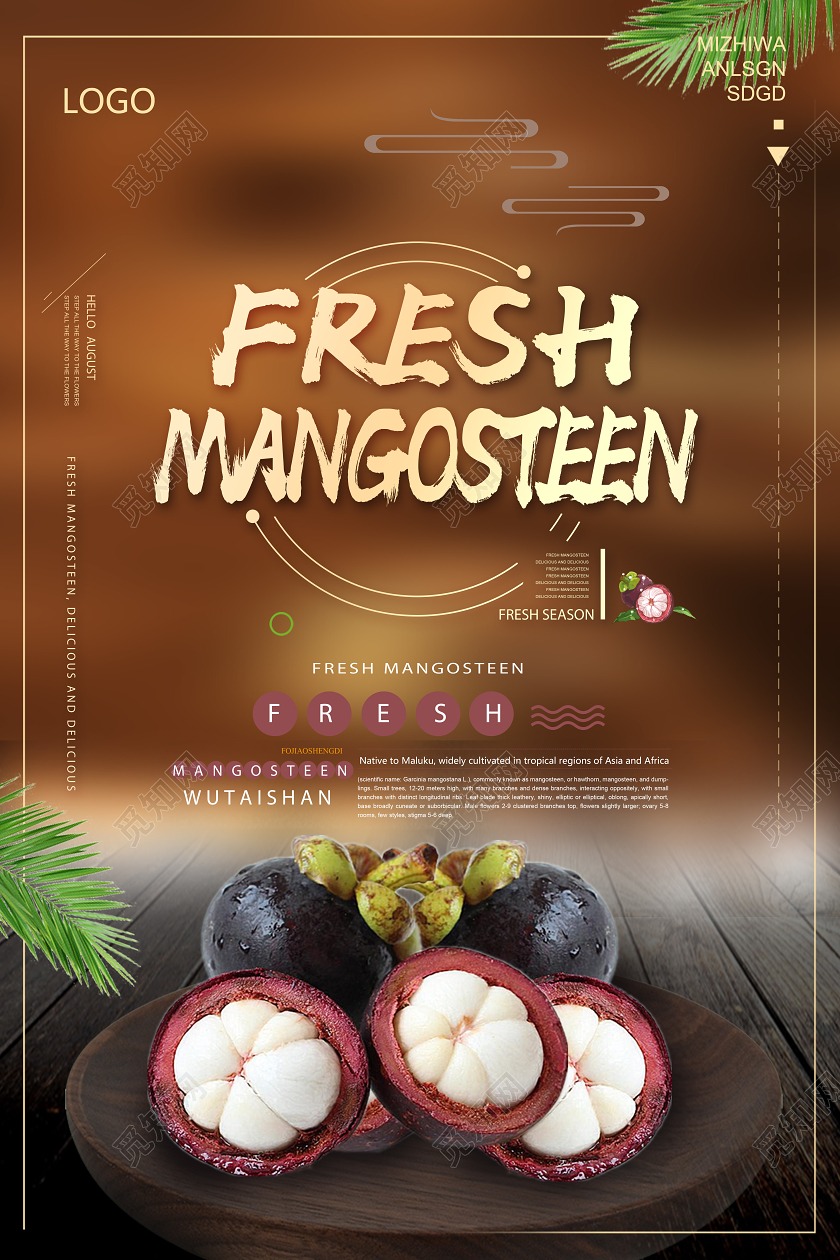棕色简约mangosteen水果山竹展板