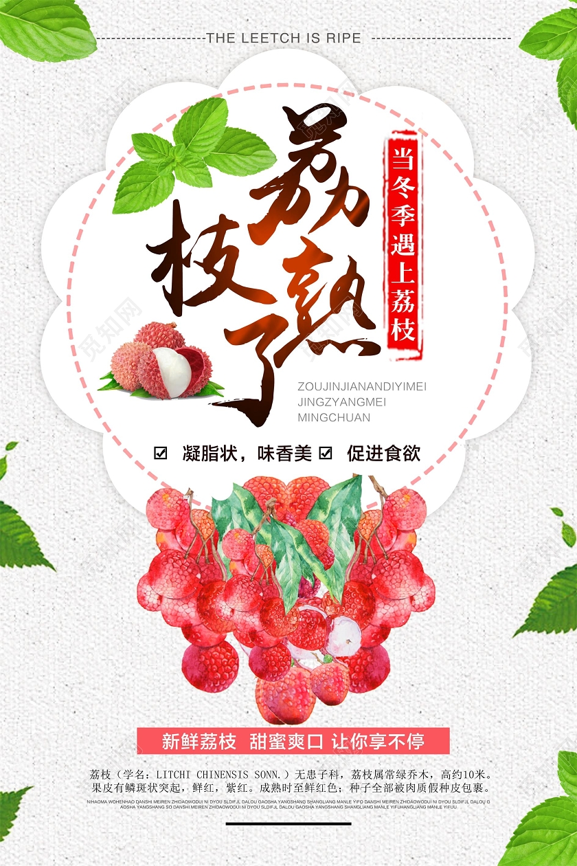 白色简约风水果荔枝熟了海报设计