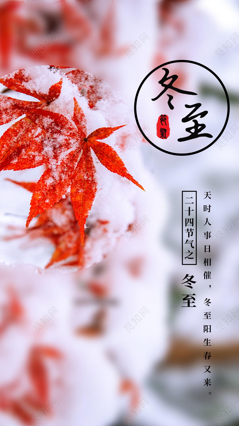 简约二十四节气冬至吃饺子枫叶雪压枝头手机海报