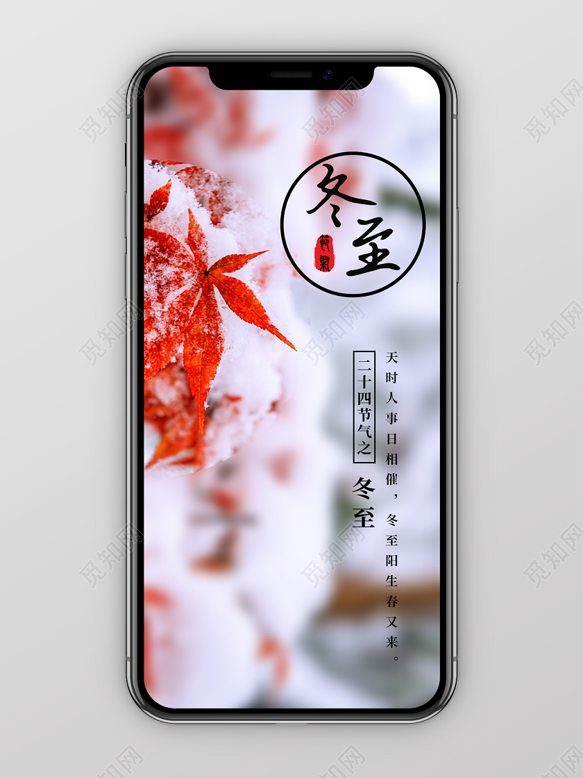 简约二十四节气冬至吃饺子枫叶雪压枝头手机海报
