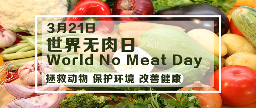 封面浅白简约世界无肉日无肉日微信公众号首图
