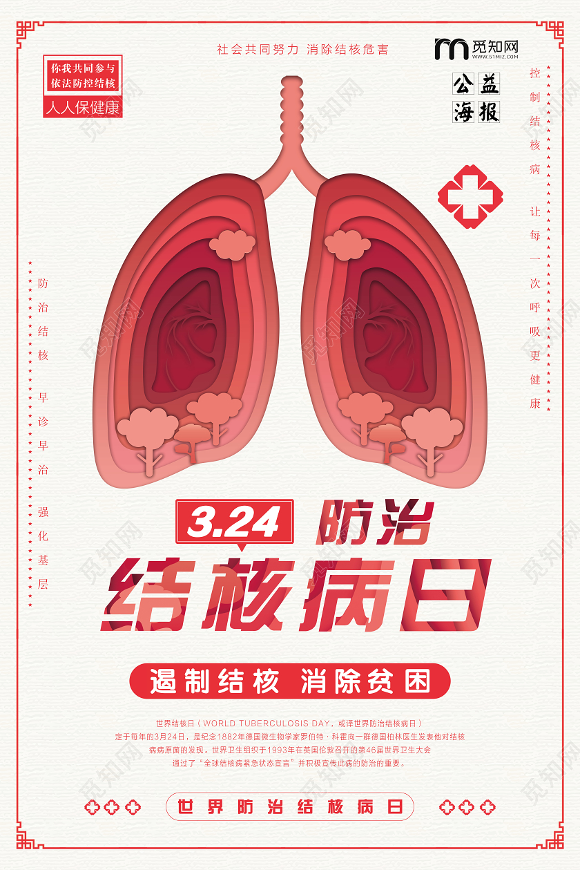 简单大气浅灰色防治结核病日宣传海报