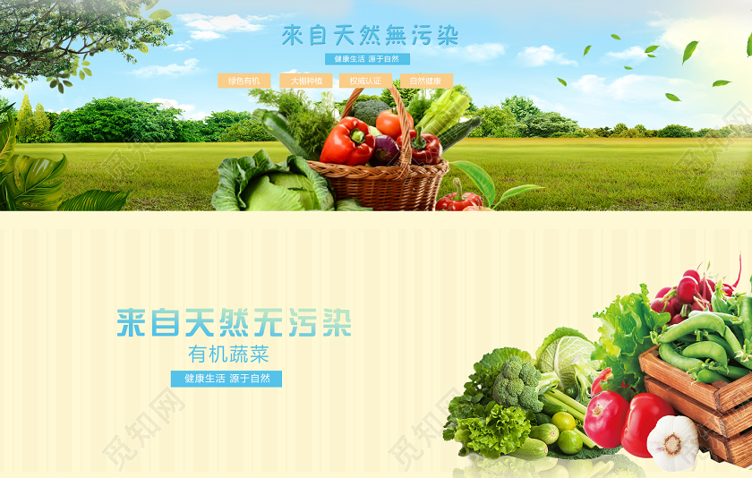 绿色大气来自天然无污染有机蔬菜BANNER