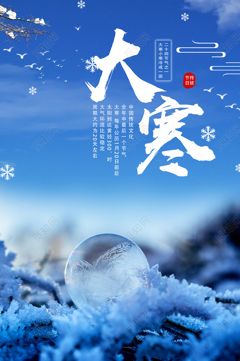 蓝色简约大寒二十四节气海报