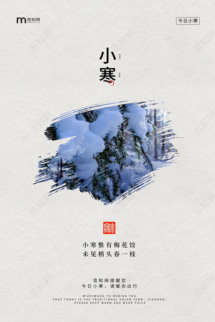 白色简约大气雪松树枝雪景二十四节气小寒海报