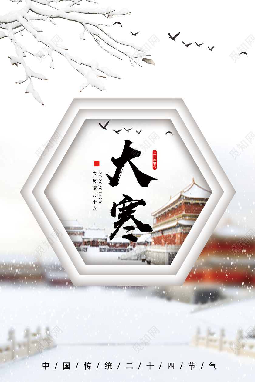 白色古风大寒二十四节气大寒海报