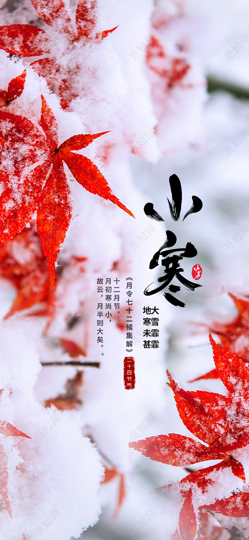 简约唯美二十四节气之小寒创意手机海报