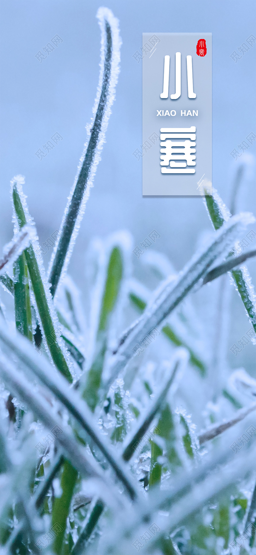二十四节气之小寒手机海报配图设计