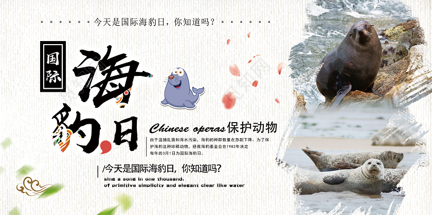 白色简约国际海豹日展板