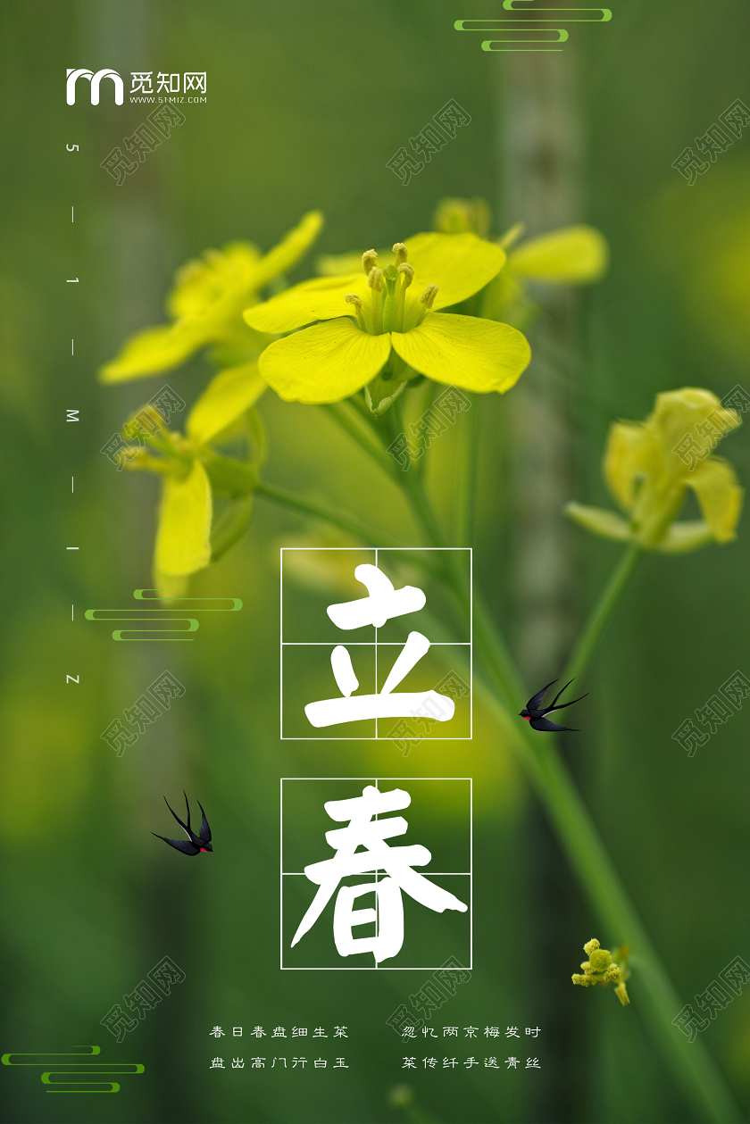 绿色创意二十四节气立春节日宣传海报设计