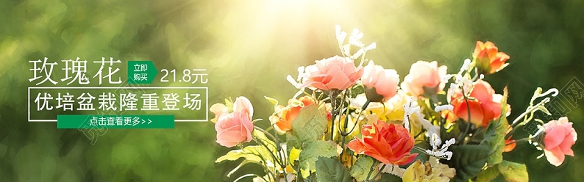 绿色清新春天植物绿叶淘宝电商背景banner小清新植物