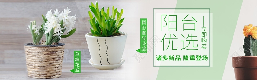 绿色清新春天植物绿叶淘宝电商背景banner小清新植物