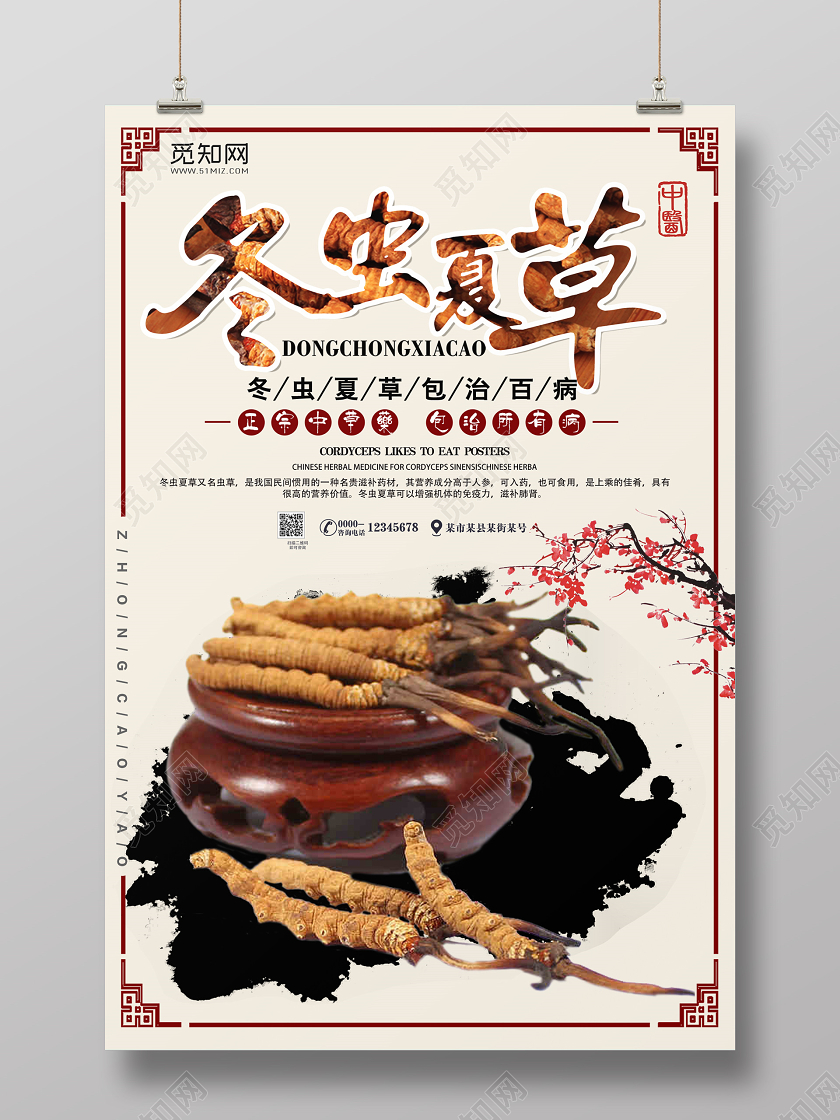 中国风中医冬病夏治中医养生冬虫夏草海报