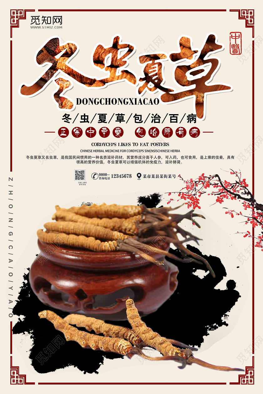 中国风中医冬病夏治中医养生冬虫夏草海报