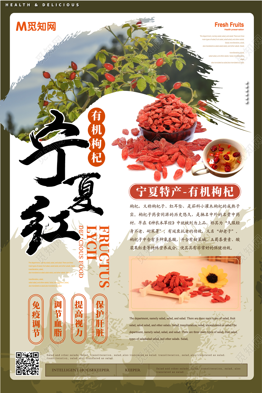 深绿几何简约风宁夏特产枸杞海报