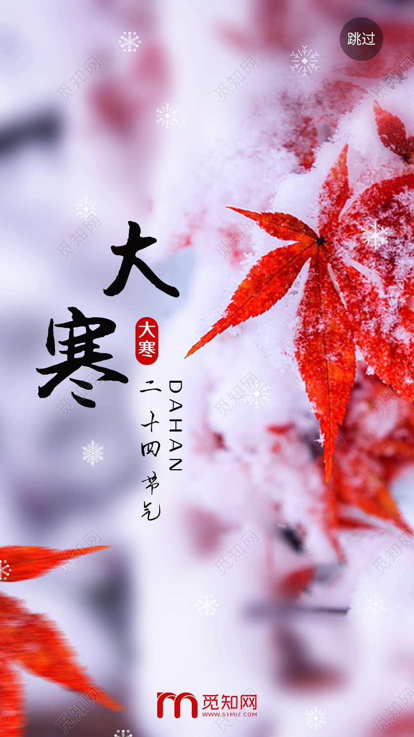 简约大气红色系二十四节气2020大寒ui手机h5海报
