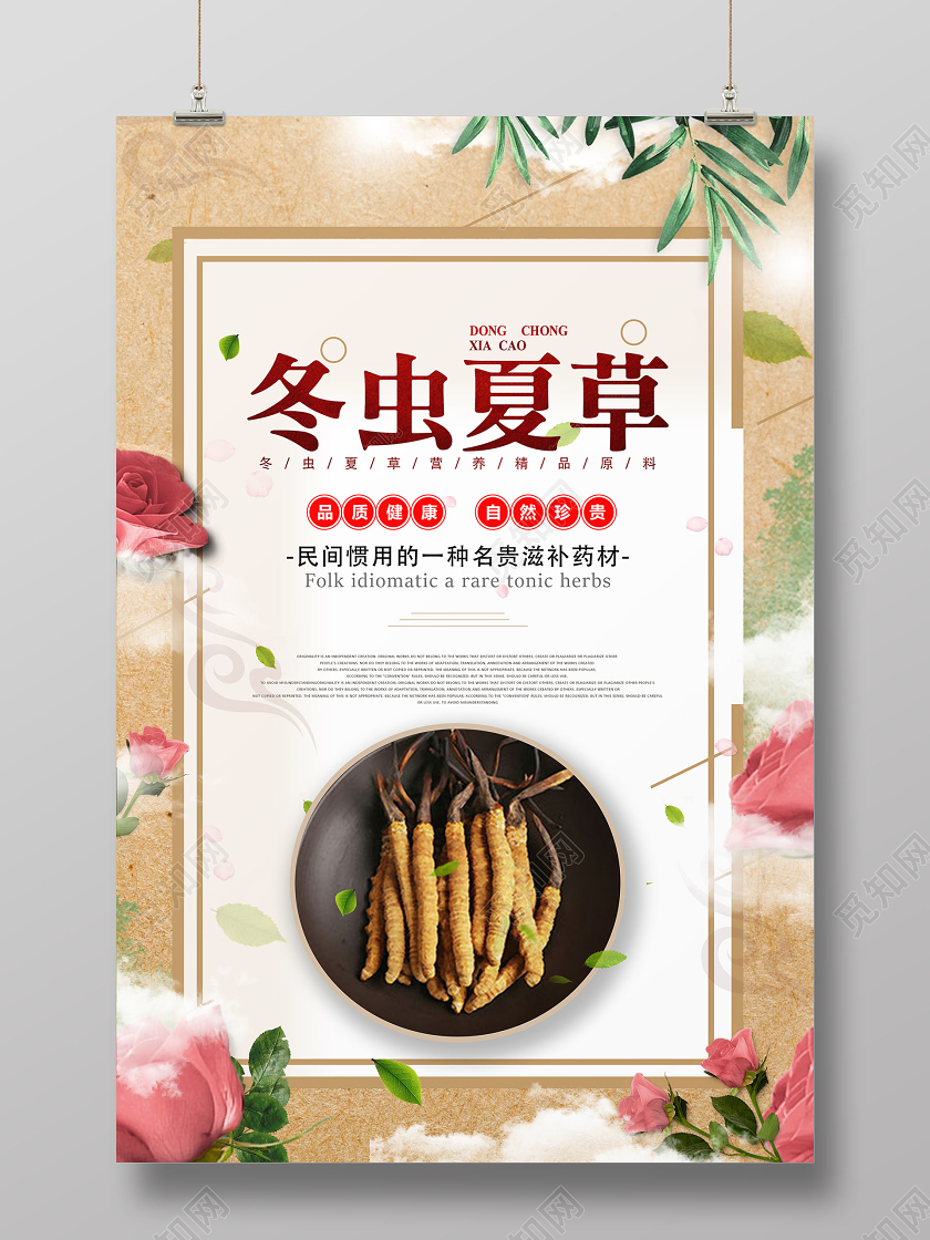 传统冬虫夏草中草药宣传海报