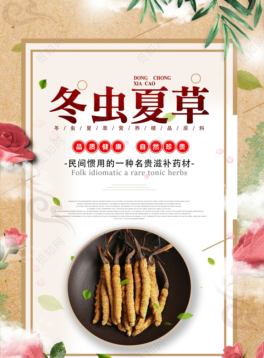 传统冬虫夏草中草药宣传海报