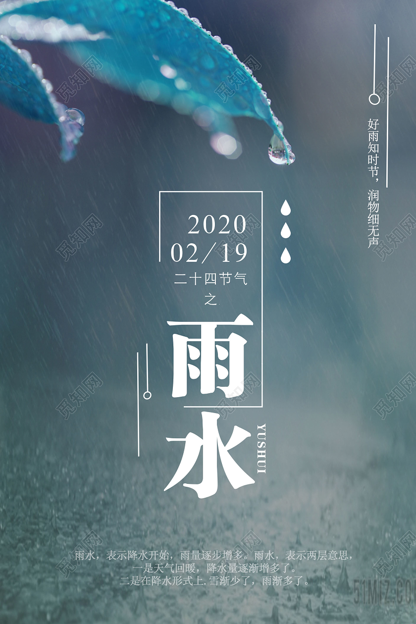 创意雨水树叶背景二十四节气之雨水宣传海报
